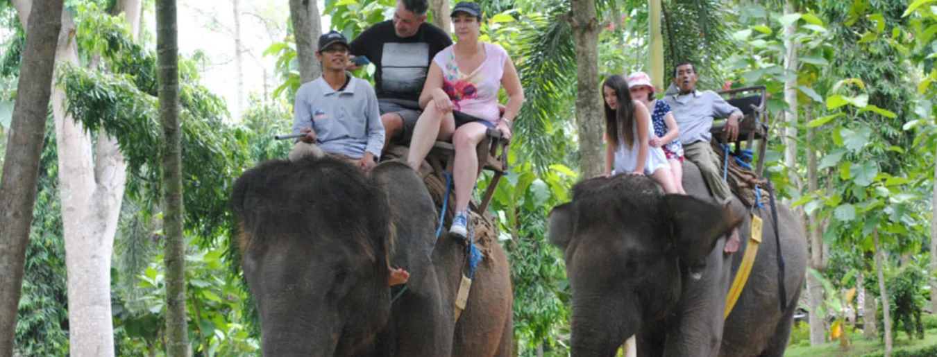 エレファントライド